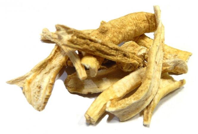 xhenxhefil